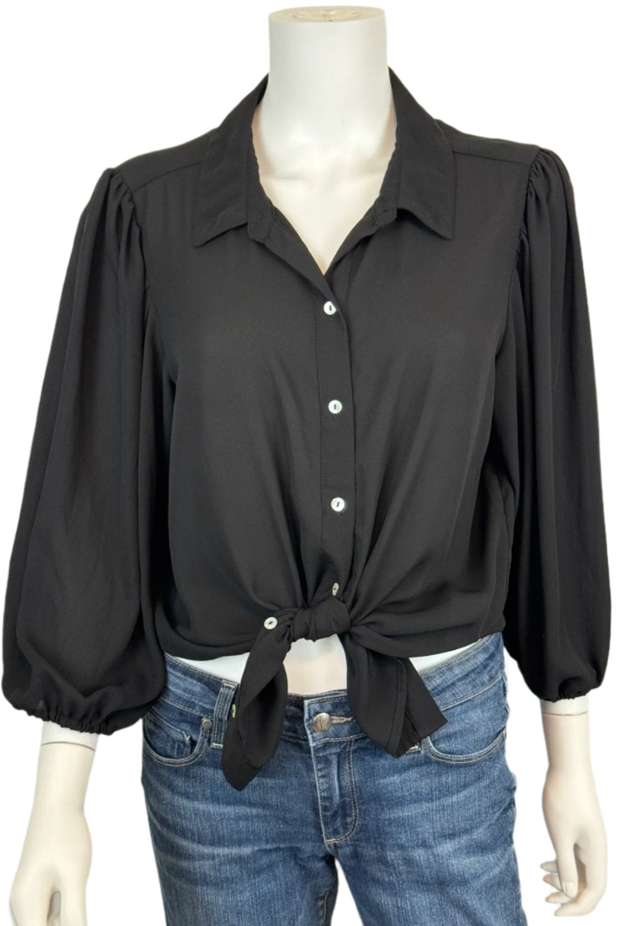 Puff Sleeve Blouse