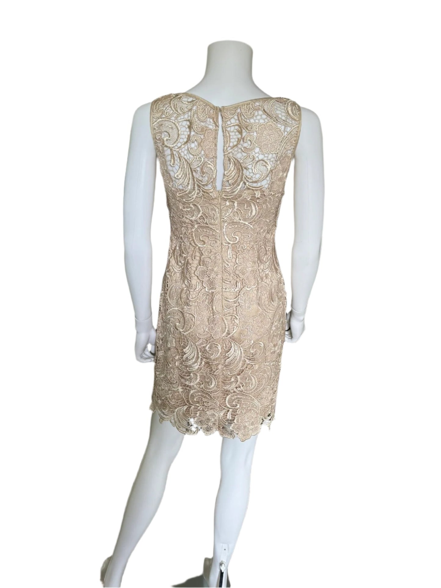 Lace Sheath Dress