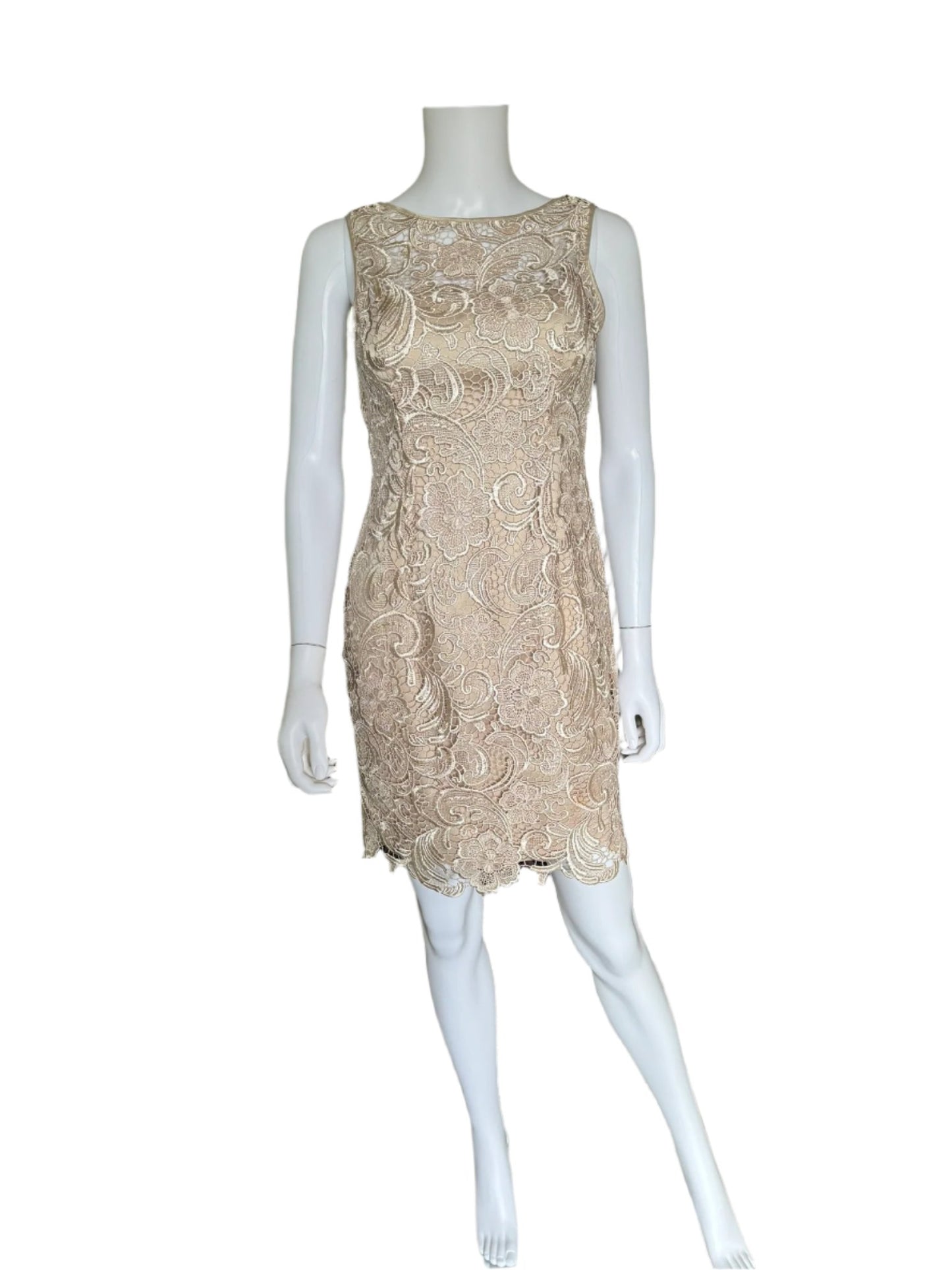 Lace Sheath Dress