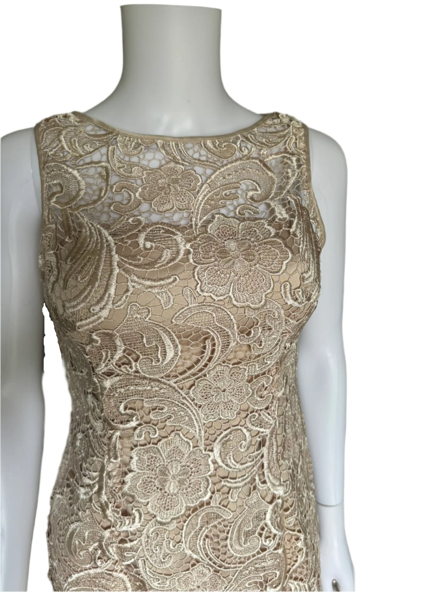 Lace Sheath Dress